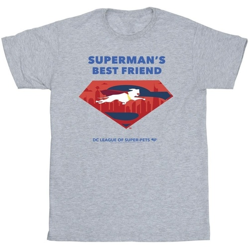 textil Hombre Camisetas manga larga Dc Comics DC League Of Super-Pets Superman's Best Friend Gris