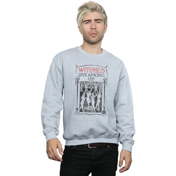 textil Hombre Sudaderas Fantastic Beasts Witches Live Among Us Gris