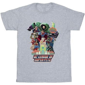 textil Hombre Camisetas manga larga Dc Comics DC League Of Super-Pets Super Powered Pack Gris