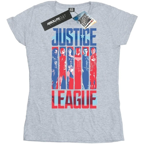 textil Mujer Camisetas manga larga Dc Comics Justice League Movie Team Flag Gris