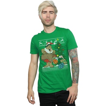 textil Hombre Camisetas manga larga The Flintstones  Verde