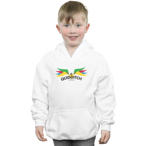 textil Niño Sudaderas Harry Potter Snitch Wings Pastels Blanco