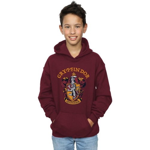 textil Niño Sudaderas Harry Potter Gryffindor Crest Multicolor