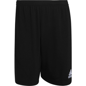 textil Hombre Shorts / Bermudas adidas Originals ENT22 TR SHO Negro