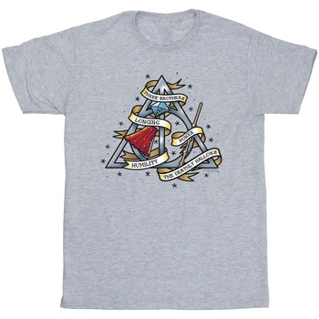 textil Niño Tops y Camisetas Harry Potter BI21220 Gris