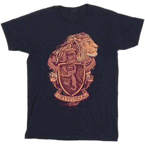 textil Niño Tops y Camisetas Harry Potter Gryffindor Sketch Crest Azul