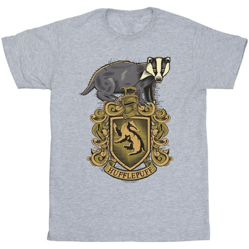 textil Niño Camisetas manga corta Harry Potter Hufflepuff Sketch Crest Gris