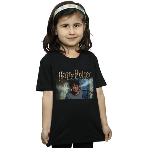 textil Niña Camisetas manga larga Harry Potter Steam Ears Negro