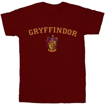 textil Niña Camisetas manga larga Harry Potter Gryffindor Crest Multicolor