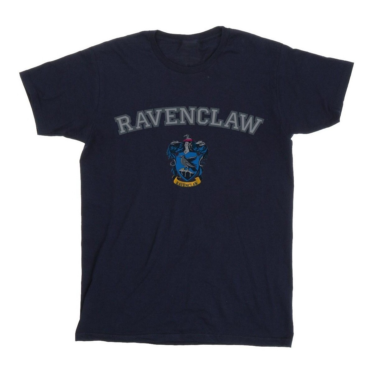 textil Niña Camisetas manga larga Harry Potter Ravenclaw Crest Azul