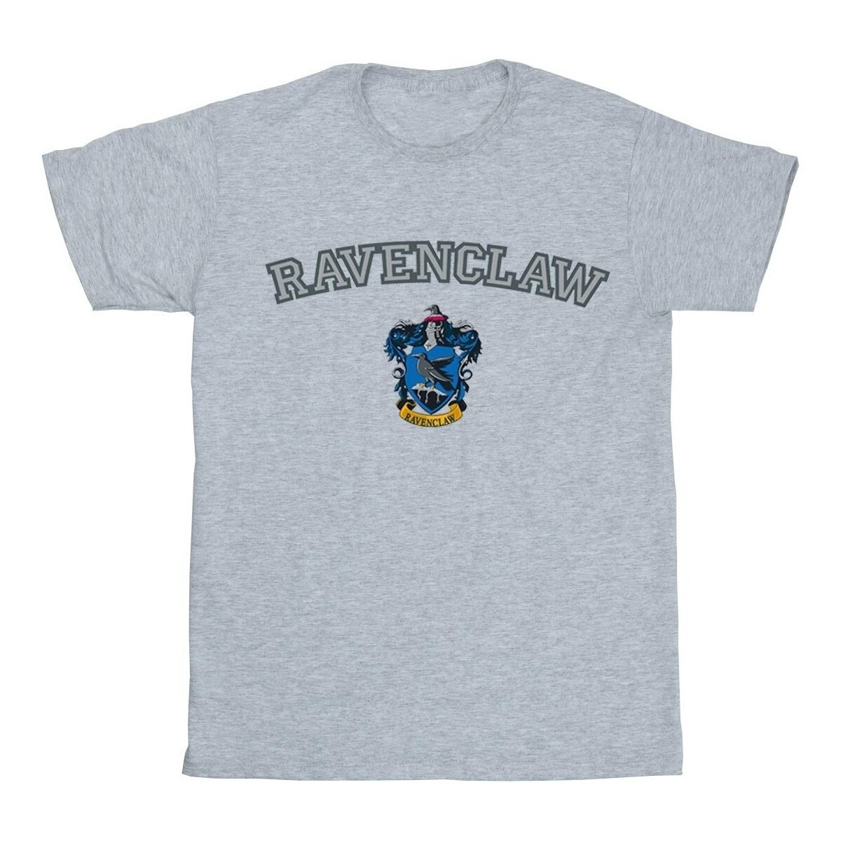 textil Niña Camisetas manga larga Harry Potter Ravenclaw Crest Gris