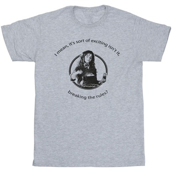 textil Niña Camisetas manga larga Harry Potter Hermione Breaking The Rules Gris