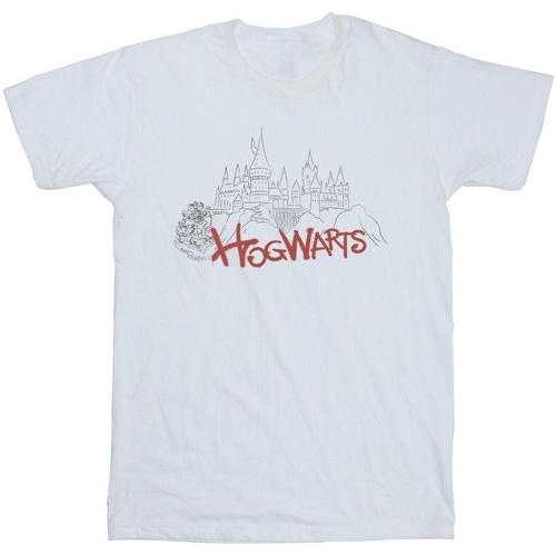textil Niña Camisetas manga larga Harry Potter Hogwarts Castle Spray Blanco
