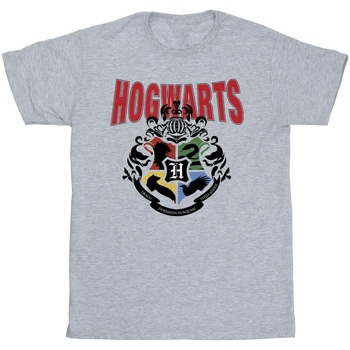 textil Niña Camisetas manga larga Harry Potter Hogwarts Emblem Gris