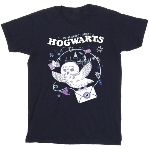 textil Niña Camisetas manga larga Harry Potter Owl Letter From Hogwarts Azul