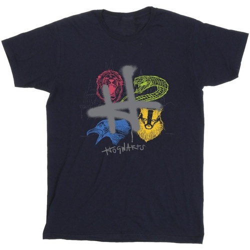 textil Niña Camisetas manga larga Harry Potter Emblems H Spray Azul