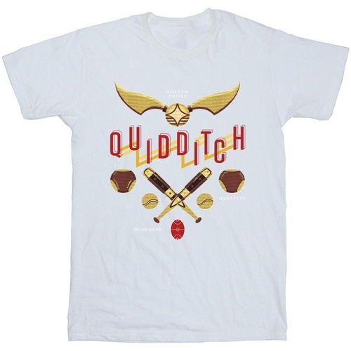 textil Niña Camisetas manga larga Harry Potter Quidditch Golden Snitch Blanco