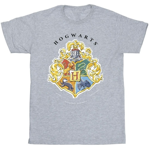 textil Niña Camisetas manga larga Harry Potter Hogwarts School Emblem Gris