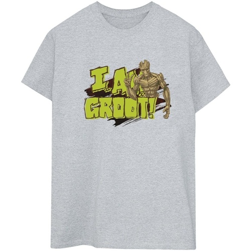 textil Mujer Camisetas manga larga Guardians Of The Galaxy I Am Groot Gris