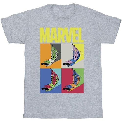 textil Niño Camisetas manga corta Marvel Spider-Man Pop Art Gris