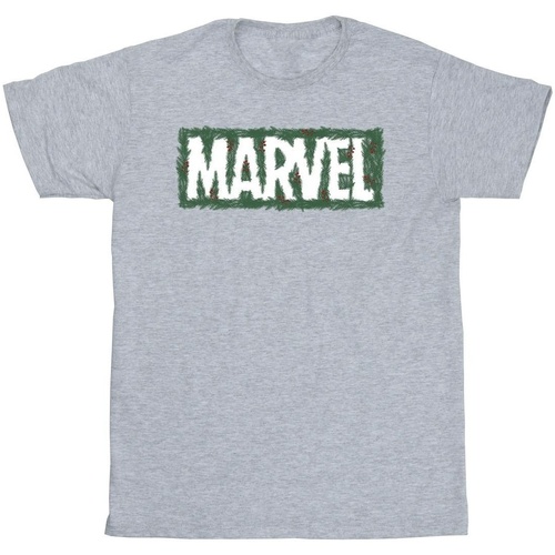 textil Niño Camisetas manga corta Marvel Holly Logo Gris