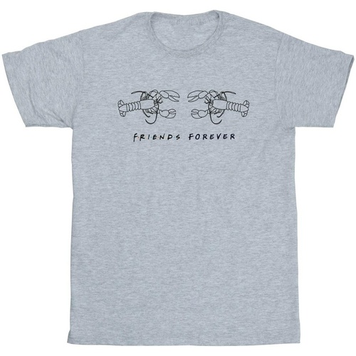 textil Hombre Camisetas manga larga Friends Lobster Logo Gris