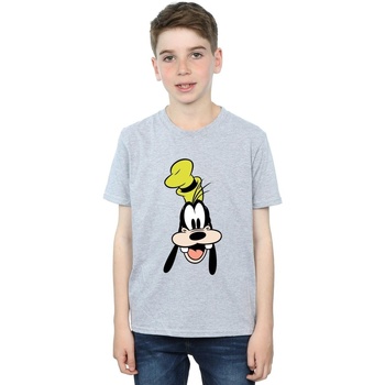 textil Niño Camisetas manga corta Disney Goofy Face Gris
