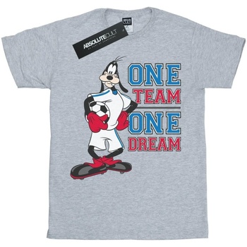 textil Niña Camisetas manga larga Disney Goofy One Team One Dream Gris