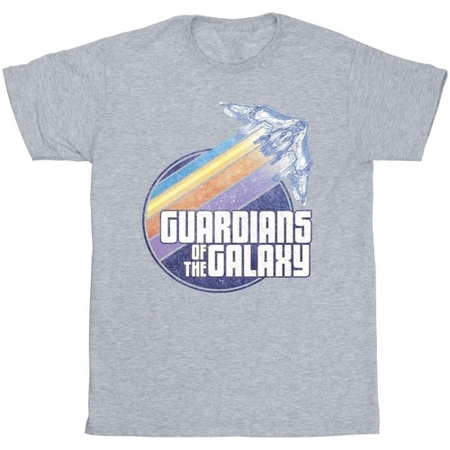 textil Hombre Camisetas manga larga Guardians Of The Galaxy Badge Rocket Gris