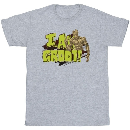 textil Hombre Camisetas manga larga Guardians Of The Galaxy I Am Groot Gris