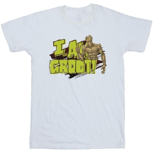 textil Hombre Camisetas manga larga Guardians Of The Galaxy I Am Groot Blanco