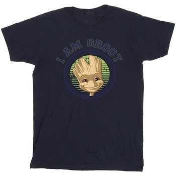 textil Hombre Camisetas manga larga Guardians Of The Galaxy Groot Varsity Azul