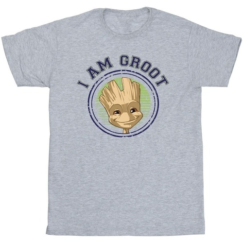 textil Hombre Camisetas manga larga Guardians Of The Galaxy Groot Varsity Gris