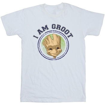 textil Hombre Camisetas manga larga Guardians Of The Galaxy Groot Varsity Blanco