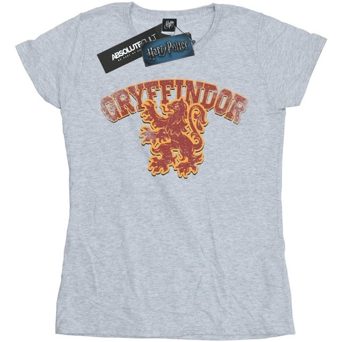 textil Mujer Camisetas manga larga Harry Potter Gryffindor Sport Emblem Gris