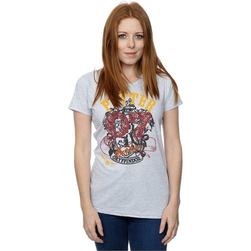 textil Mujer Camisetas manga larga Harry Potter Gryffindor Seeker Gris