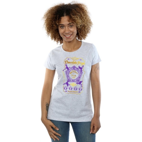 textil Mujer Camisetas manga larga Harry Potter Chocolate Frogs Coloured Label Gris