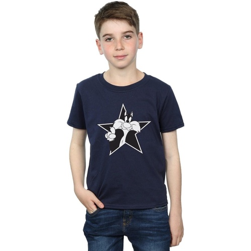 textil Niño Tops y Camisetas Dessins Animés Sylvester Mono Star Azul