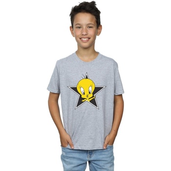 textil Niño Camisetas manga corta Dessins Animés Tweety Pie Star Gris