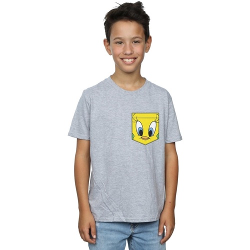 textil Niño Camisetas manga corta Dessins Animés Tweety Pie Face Faux Pocket Gris