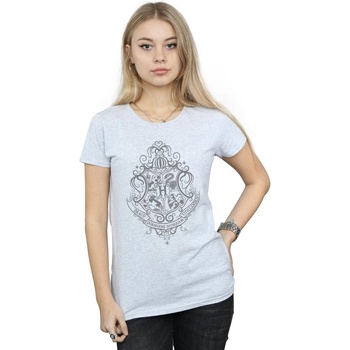 textil Mujer Camisetas manga larga Harry Potter Hogwarts Draco Dormiens Crest Gris