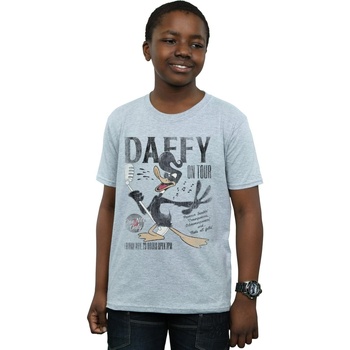 textil Niño Camisetas manga corta Dessins Animés Daffy Duck Concert Gris