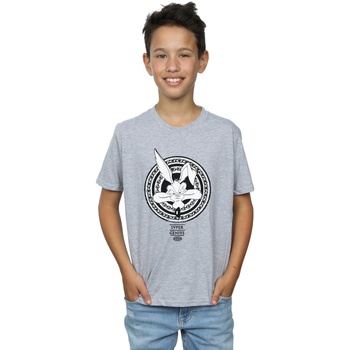 textil Niño Tops y Camisetas Dessins Animés Wile E Coyote Super Genius Gris
