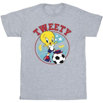 textil Niño Tops y Camisetas Dessins Animés Tweety Football Circle Gris
