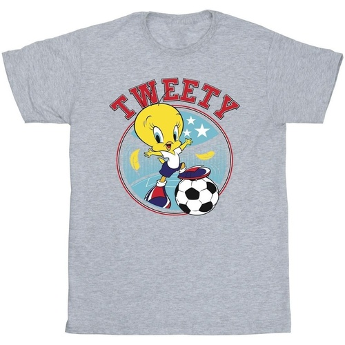 textil Niño Tops y Camisetas Dessins Animés Tweety Football Circle Gris