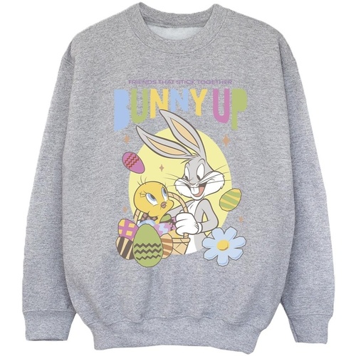 textil Niña Sudaderas Dessins Animés Bunny Up Gris