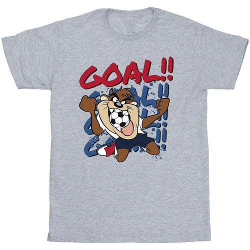 textil Niña Camisetas manga larga Dessins Animés Taz Goal Goal Goal Gris