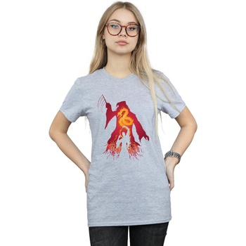 textil Mujer Camisetas manga larga Harry Potter Dumbledore Silhouette Gris