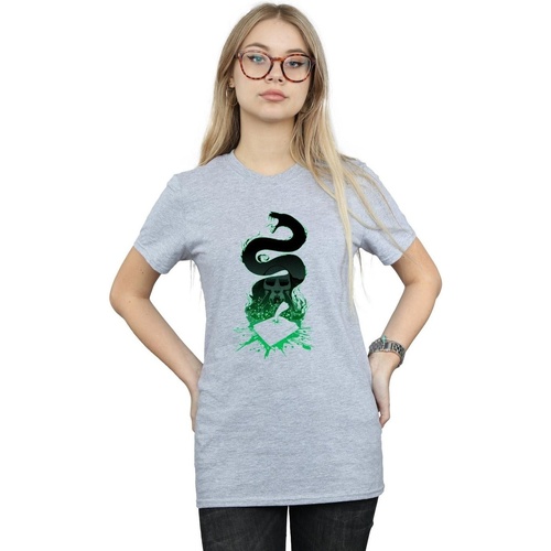 textil Mujer Camisetas manga larga Harry Potter Nagini Silhouette Gris