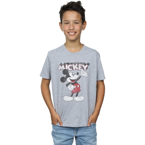 textil Niño Camisetas manga corta Disney Mickey Mouse Presents Gris